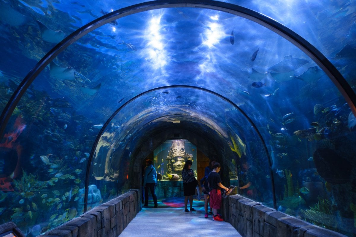 Audubon Aquarium - Gallery Image 1